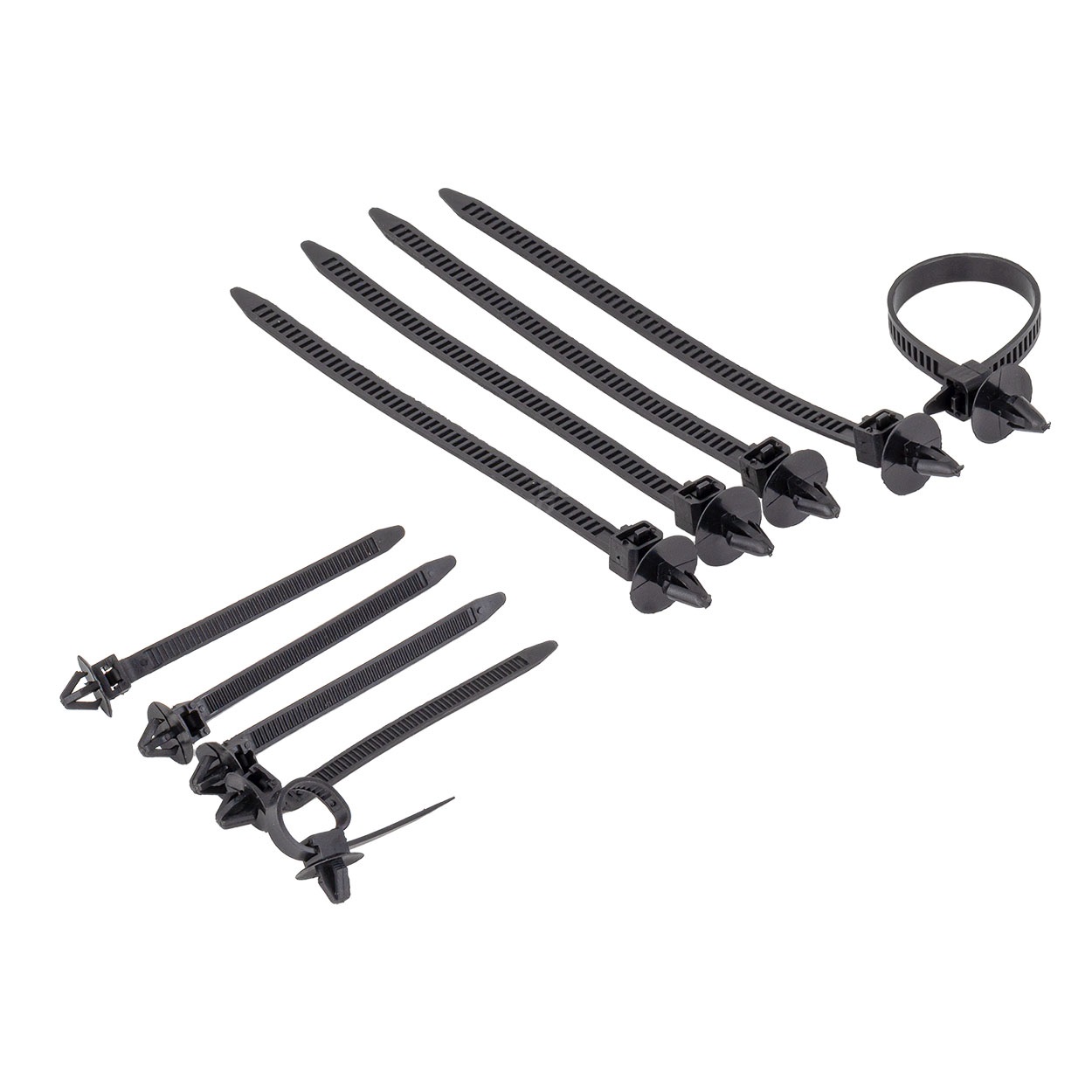 Universele set met 620stuks Automotive clips plus pinnen en gereedschap - 04433 10 - 04433