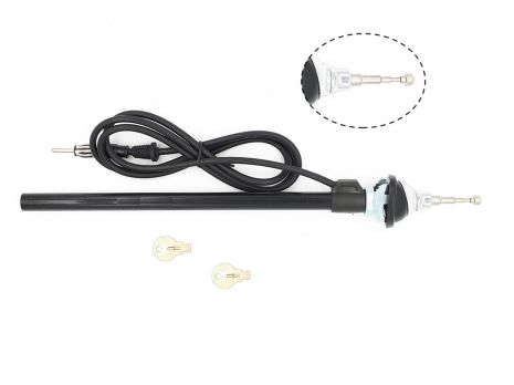 Universele inzinkantenne AM/FM chroom kleine kop (27mm) - 152000 42 - 152000-42