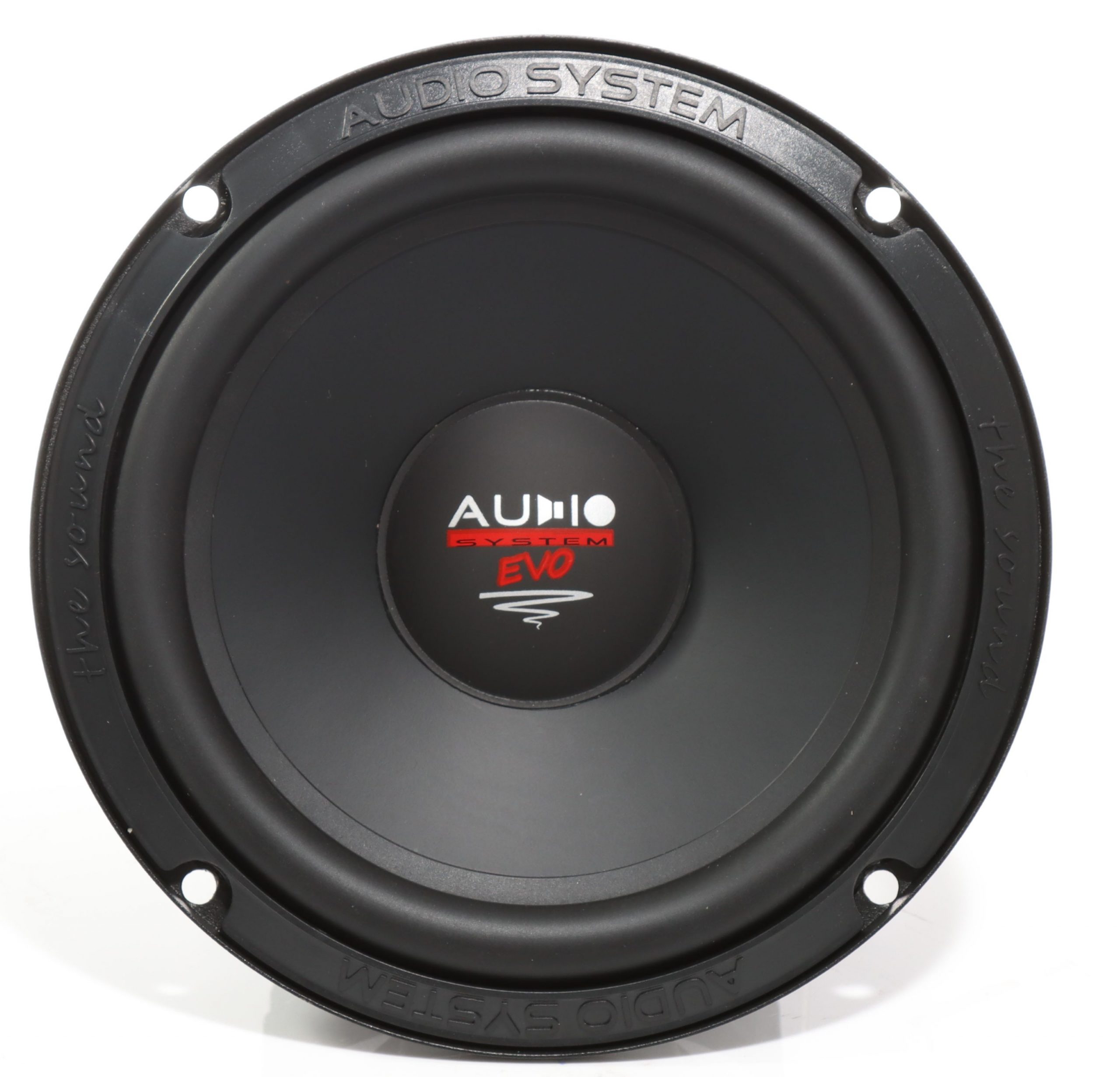 AUDIO SYSTEM RADION 165mm Midrange papiermembraam dubbelspoel luidspreker - As 165 dc em evo neu2 scaled - AS165 EM DC EVO