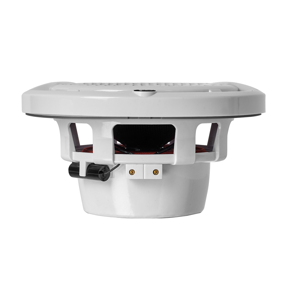 DLS Alive IPX outdoor 6,5" Coax White - Dls alive a6xw 5 - 610A6XW