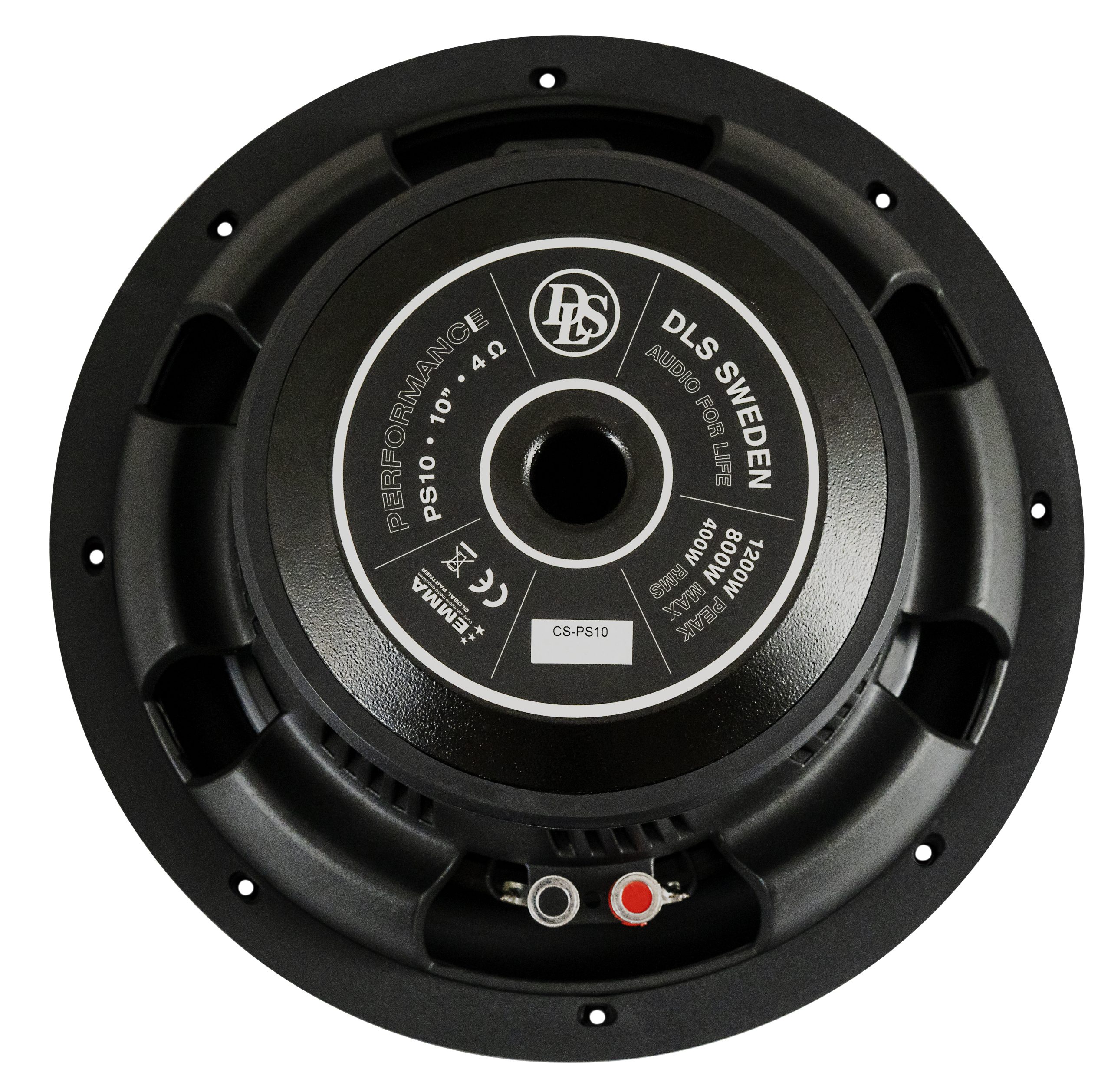 DLS 10"/250mm Slim Type Subwoofer PS10 - Ps10 back 2 kopiera 1 scaled - 610PS10