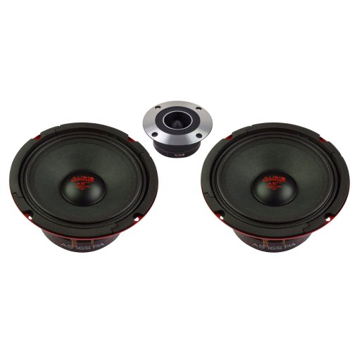 RADION-SERIES 2-Weg dubbel Systeem. 165mm 2-weg PURE DYNAMIC Composet. - R 165 4 pa evo scaled - R165-4 PA EVO